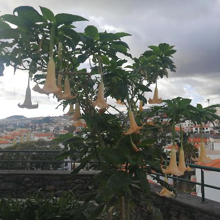 Casa Vanday Funchal  Exterior photo